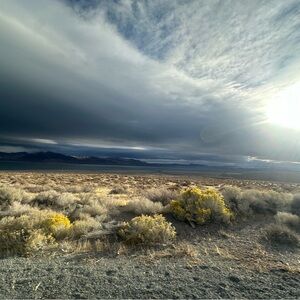 Meet your Posher, Ethan